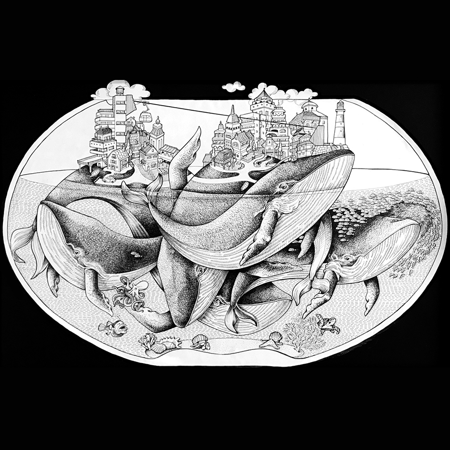 LES-BALEINES-CARRÉ