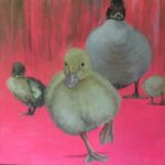 boucher-les canards (2)