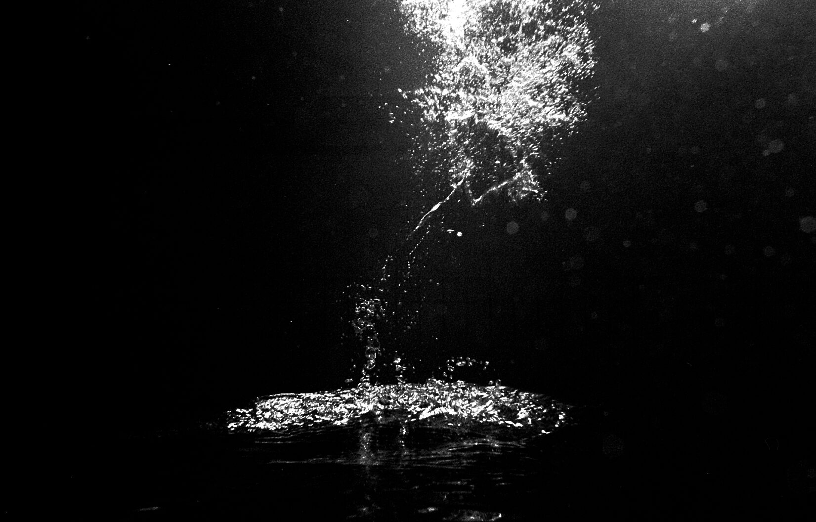 Extrait Serie Métamorphosis