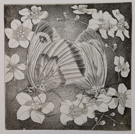 Papillons