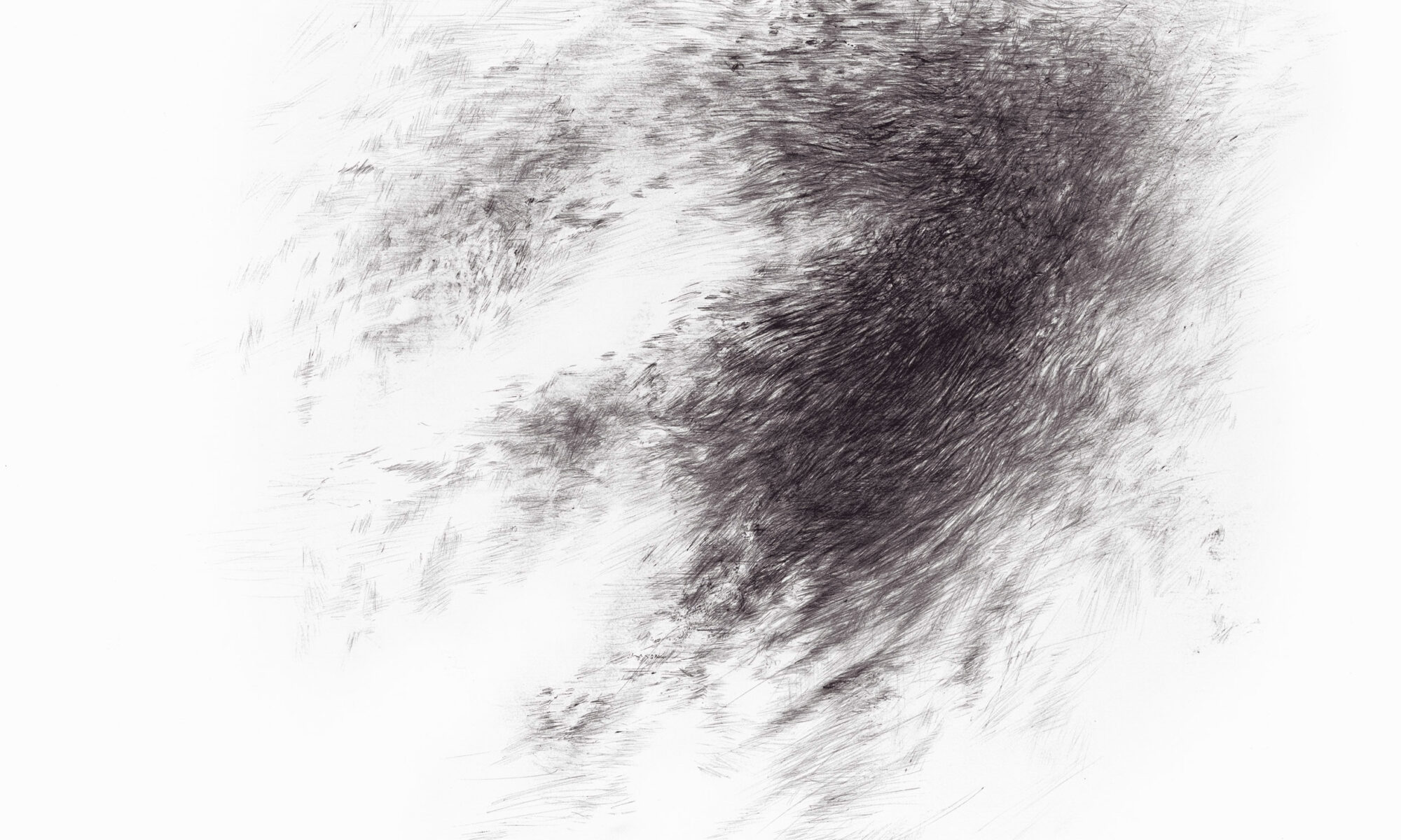 Through-stylo-2026